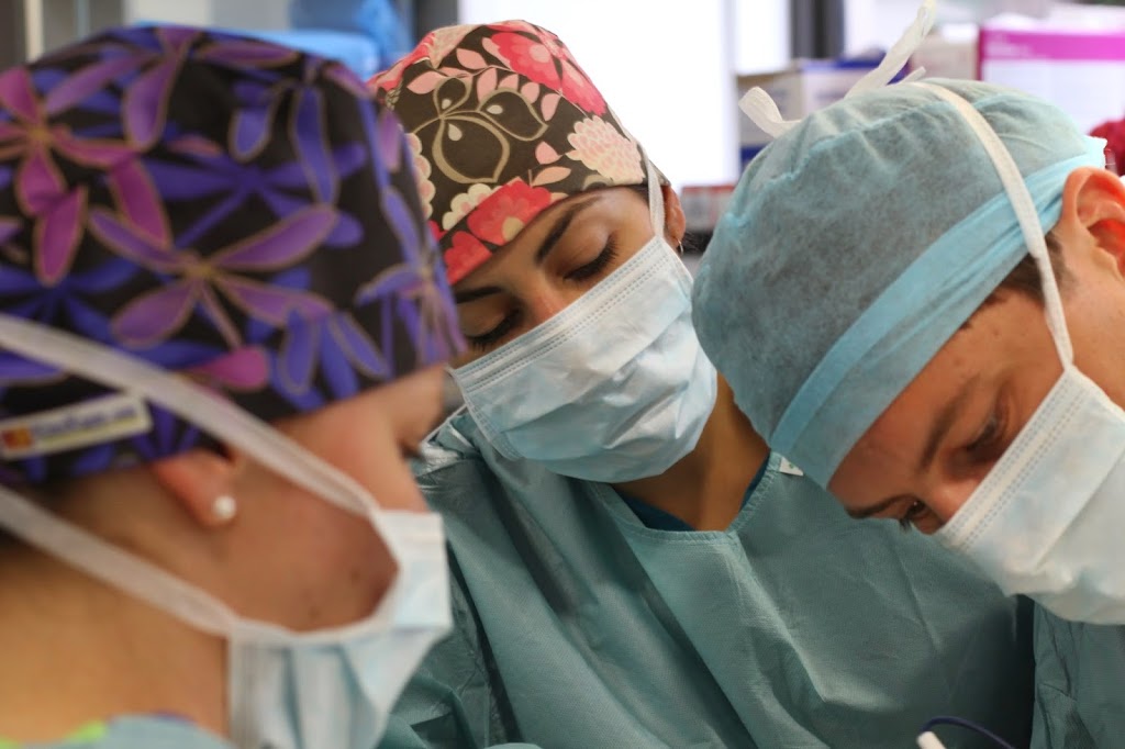 Southpaws Specialty Surgery for Animals PTY LTD | 3 Roper St, Moorabbin VIC 3189, Australia | Phone: (03) 9553 1775