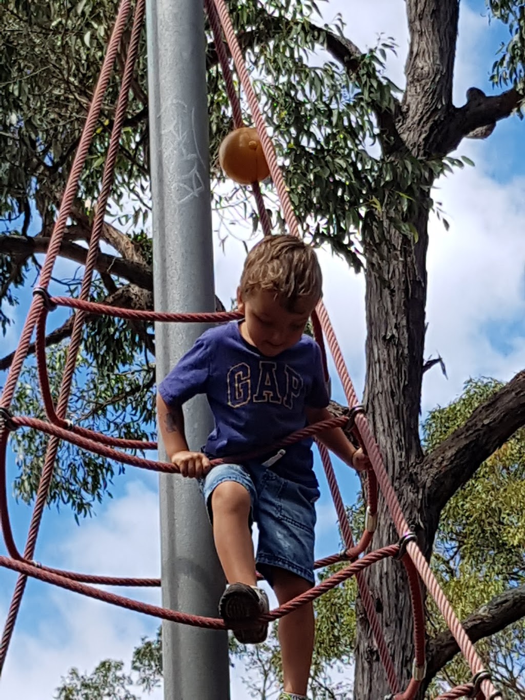 Menai Parkrun | park | 162-168 Menai Rd, Menai NSW 2234, Australia