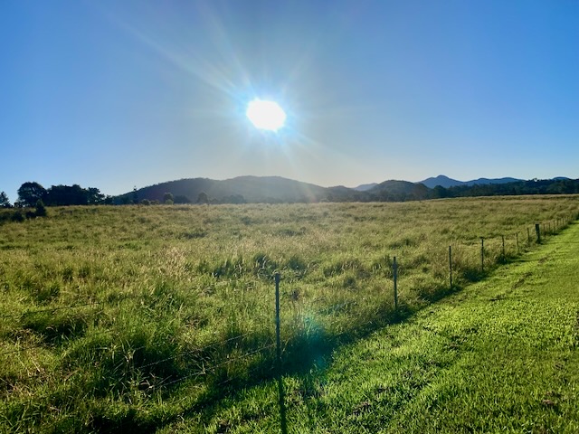 Samford Dermatology | 132 Foggs Rd, Mount Samson QLD 4520, Australia | Phone: (07) 2000 1099