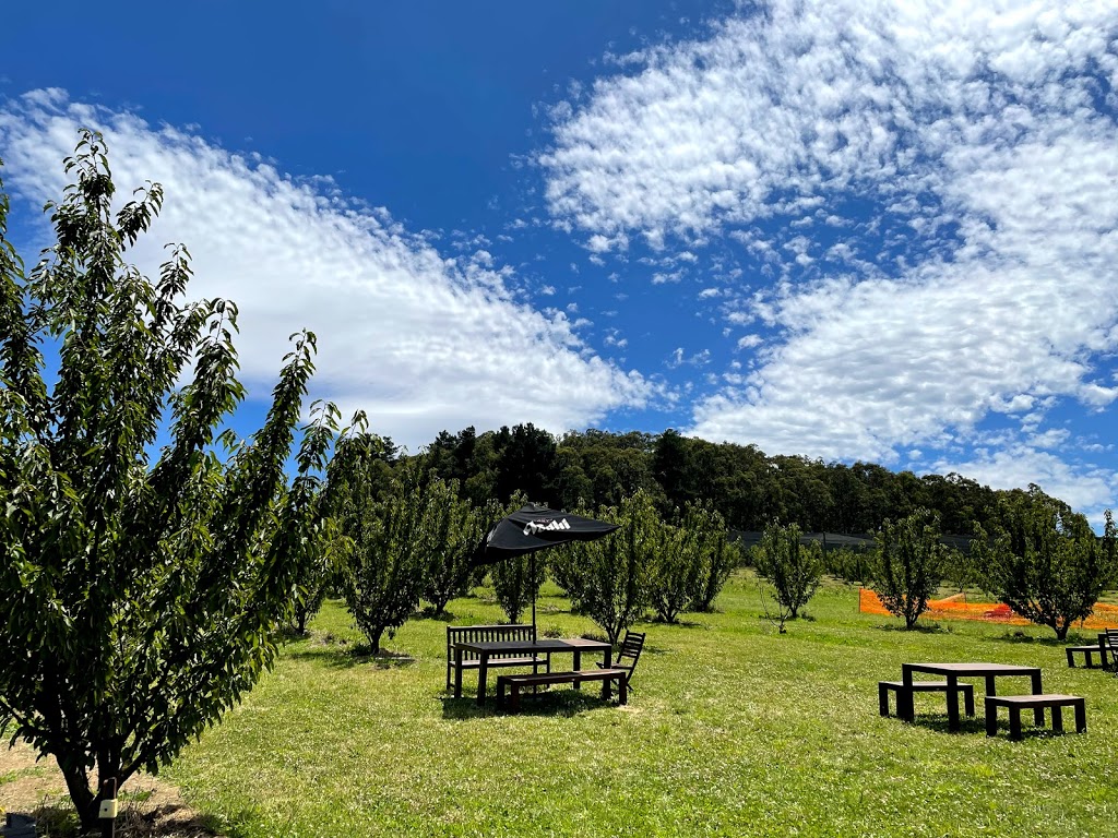 Lanidale Cherry Orchard | tourist attraction | north 3139, 235 Beenak Rd, Wandin North VIC 3139, Australia | 0418540445 OR +61 418 540 445