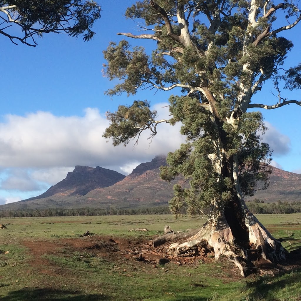 Wallaby Tracks Adventure Tours | 6 Railway Terrace, Quorn SA 5433, Australia | Phone: (08) 8648 6655