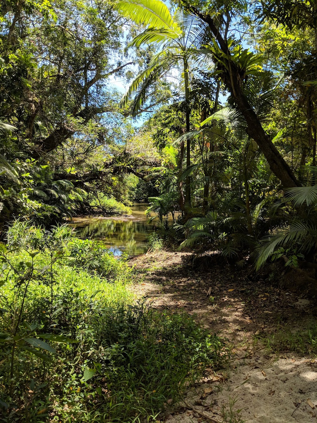 Foxton Avenue Reserve | park | Mossman QLD 4873, Australia