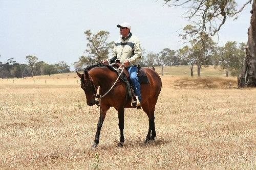 Glenn Browitt Riding Instructor | 129 Tyabb-Tooradin Rd, Somerville VIC 3912, Australia | Phone: 0437 058 512