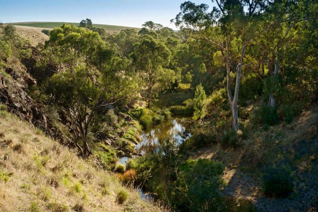 Riverside Farm | lodging | 197 Barritt Rd, Lyndoch SA 5351, Australia | 0420969819 OR +61 420 969 819