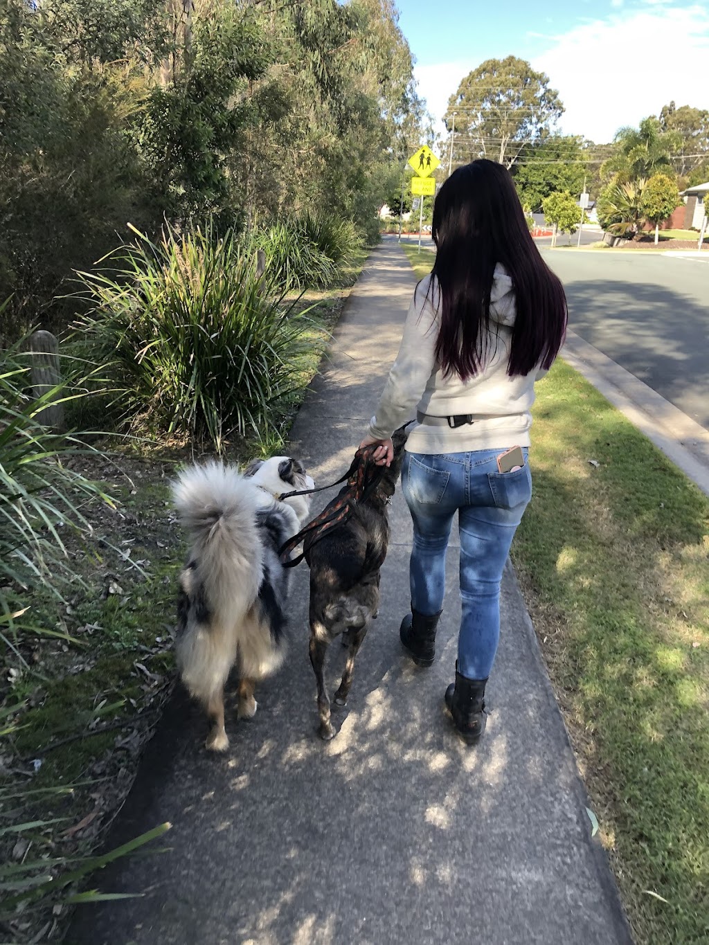 Bayside K9 Training | 36 Solway Cres, Carbrook QLD 4130, Australia | Phone: 0411 668 696