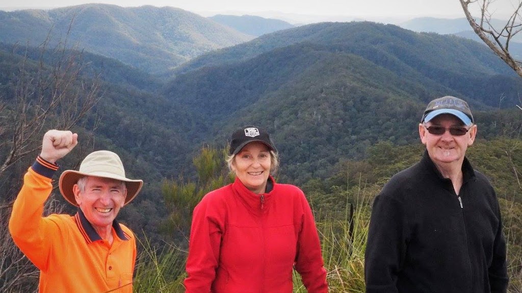 Springbrook Pinnacle | park | Springbrook QLD 4213, Australia