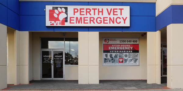 Perth Vet Emergency | 3/162 Wanneroo Rd, Yokine WA 6060, Australia | Phone: 1300 040 400