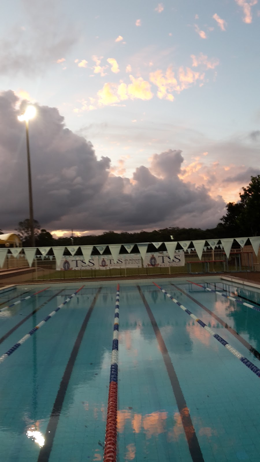TSS Aquatics | 2 Winchester St, Southport QLD 4215, Australia | Phone: 0404 836 053
