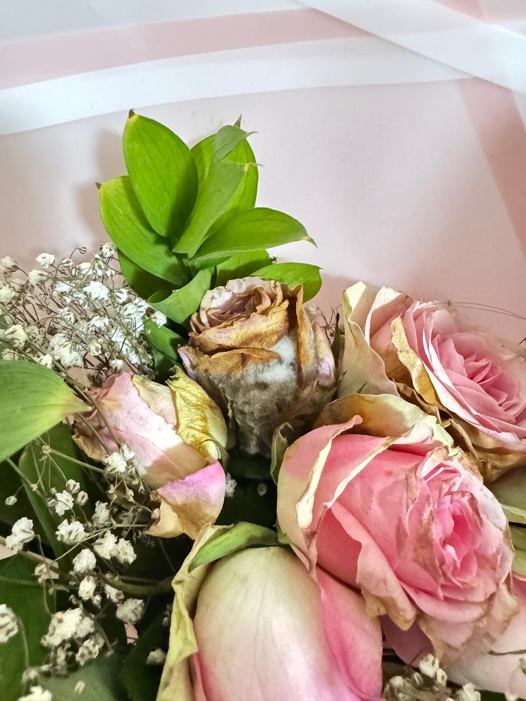 Roses n Petals | 3 Landscape Bvd, Hampton Park VIC 3976, Australia | Phone: 0423 725 750