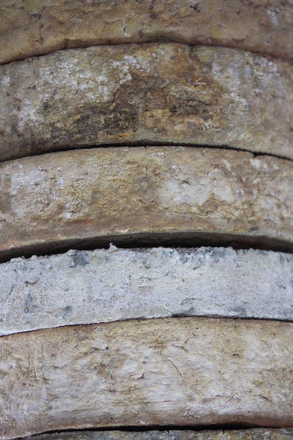Towri Farm Cheese Workshops | 206 Saville Rd, Allenview QLD 4285, Australia | Phone: 0413 430 471