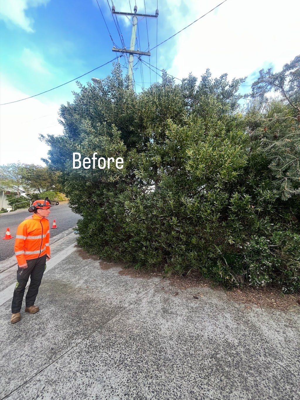 The Green Barber Tree Service | 70 Carlton Beach Rd, Dodges Ferry TAS 7173, Australia | Phone: 0433 804 284