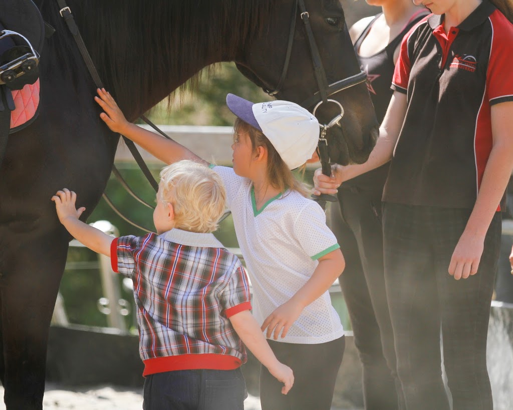 Horse Riding Hub - Beginner Horse Rider Education Specialist | 99 Aylesham Dr, Bonogin QLD 4213, Australia | Phone: (07) 5667 7468