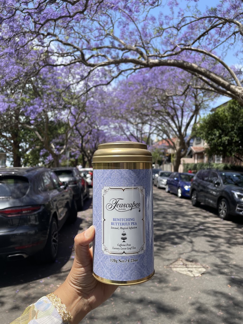 Teascapes Australia | 15/30-32 Barcoo St, Roseville NSW 2069, Australia | Phone: 0419 267 584