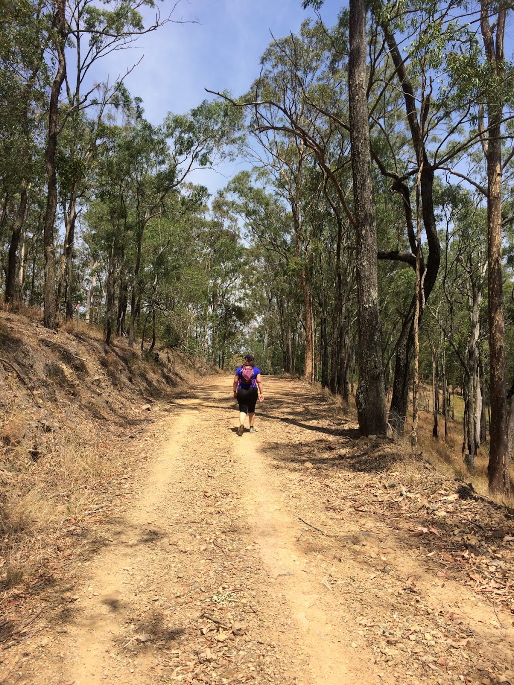 South Boundary Road Hiking Trail | park | S Boundary Rd, Enoggera Reservoir QLD 4520, Australia