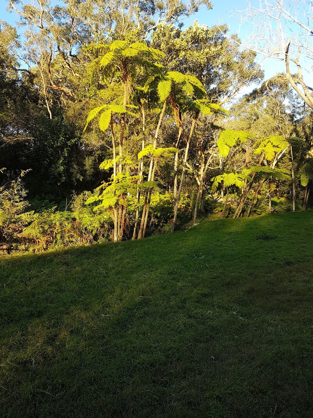 Kormeister and Leistunghund Rottweilers | 13 Francis St, ​SWANSEA HEADS NSW 2281, Australia | Phone: 0410 445 962