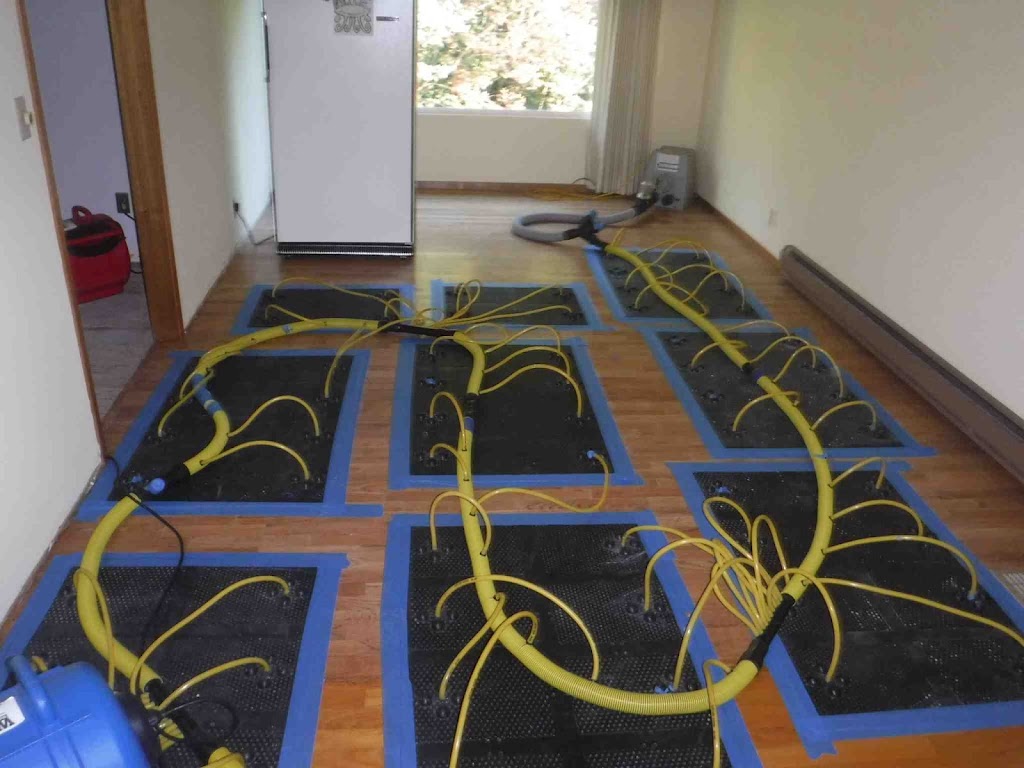 ECO Carpet Cleaning | point of interest | 21 Umbria Rd, Mernda VIC 3754, Australia | 0391190419 OR +61 3 9119 0419