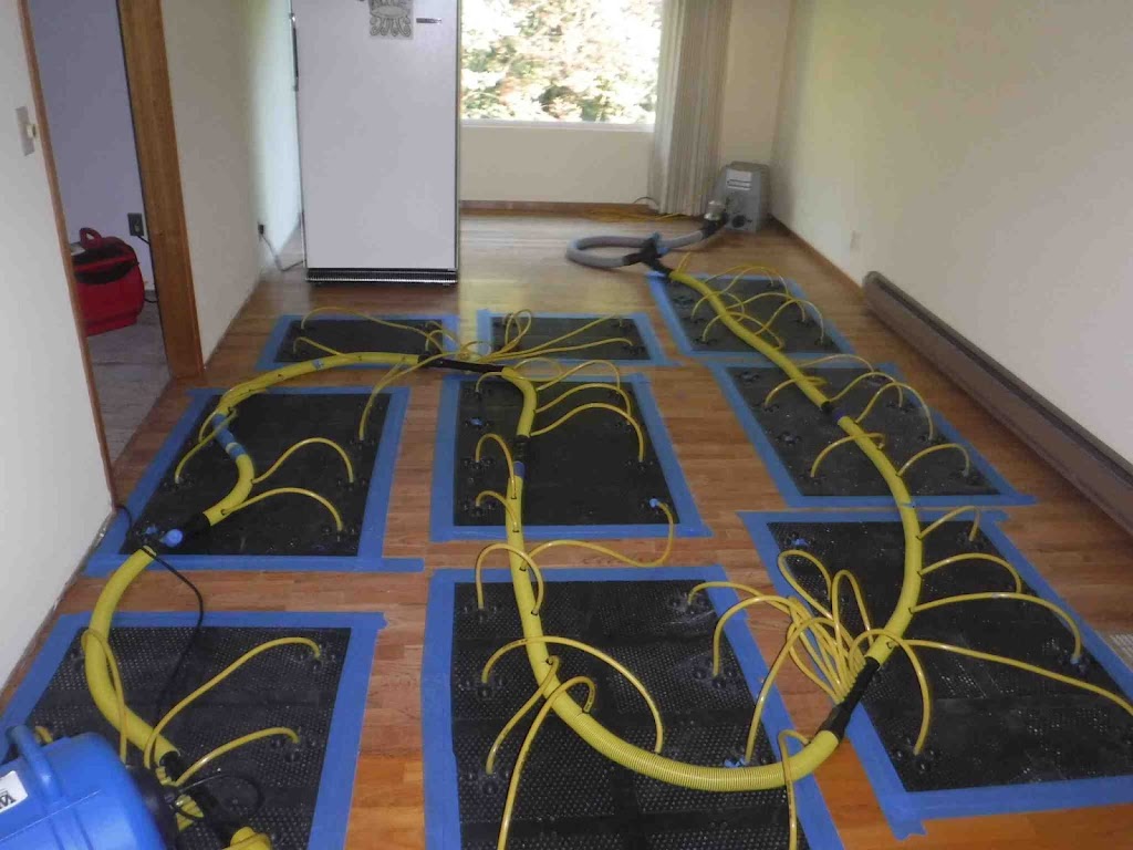 ECO Carpet Cleaning | 21 Umbria Rd, Mernda VIC 3754, Australia | Phone: (03) 9119 0419