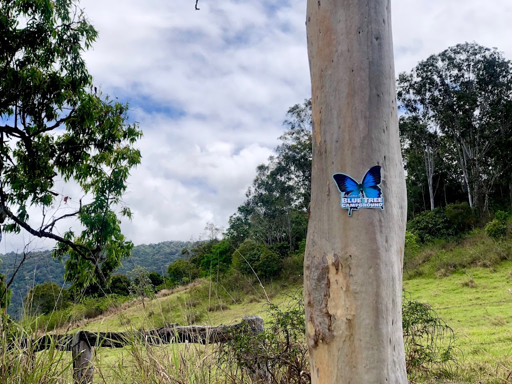 Blue Tree Campground | Upper Alligator Creek Rd, Sarina QLD 4737, Australia | Phone: 0459 655 310