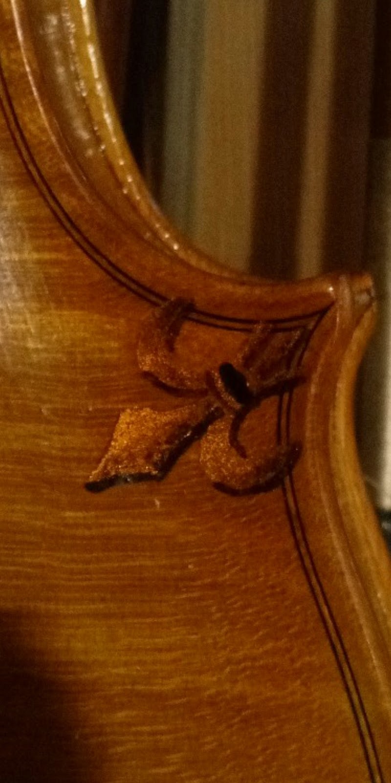 Ilja Grawert - Violinmaker North Queensland ~by appointment only | 998 Calen Mount Charlton Rd, Mount Charlton QLD 4741, Australia | Phone: 0437 882 468