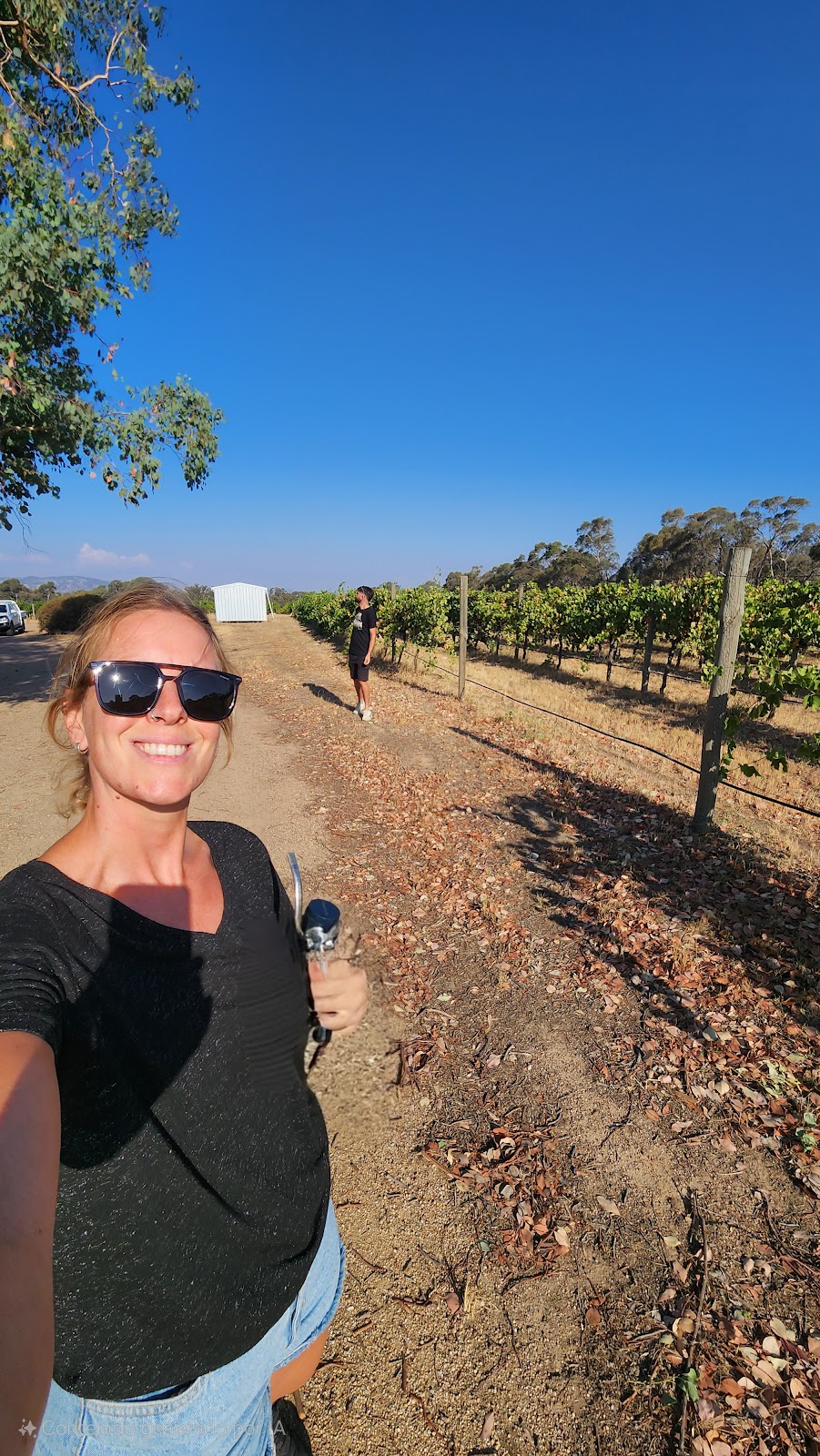 Thorburn-Geiger Estates Longwood East Wines | 53 Longwood-Mansfield Rd, Longwood East VIC 3666, Australia | Phone: 0494 193 181