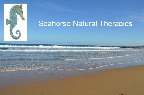 Seahorse Natural Therapies & Accommodation | 1 Surf Ave, Skenes Creek VIC 3233, Australia | Phone: 0421 508 053