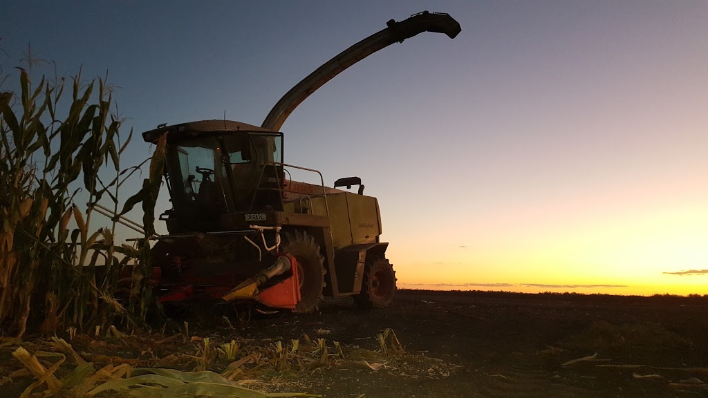 Superior Silage | 33 Forest Plain Rd, Allora QLD 4362, Australia | Phone: (07) 4666 6083