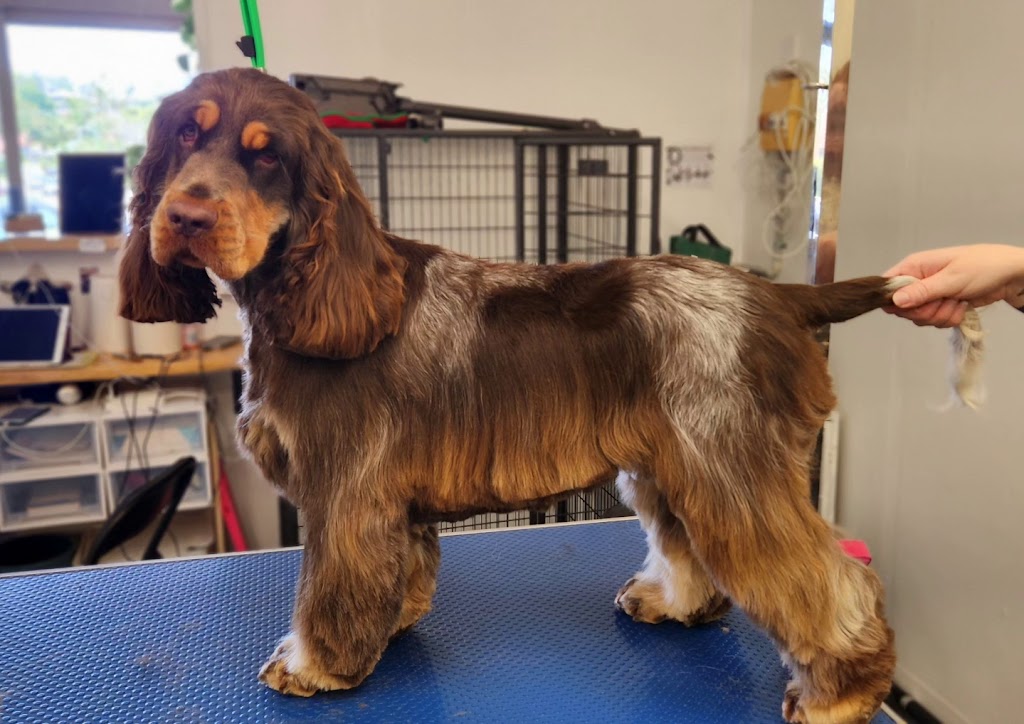 Bark & Bloom Grooming | 2 Keith Mitchell Dr, Warwick QLD 4370, Australia | Phone: 0427 786 774