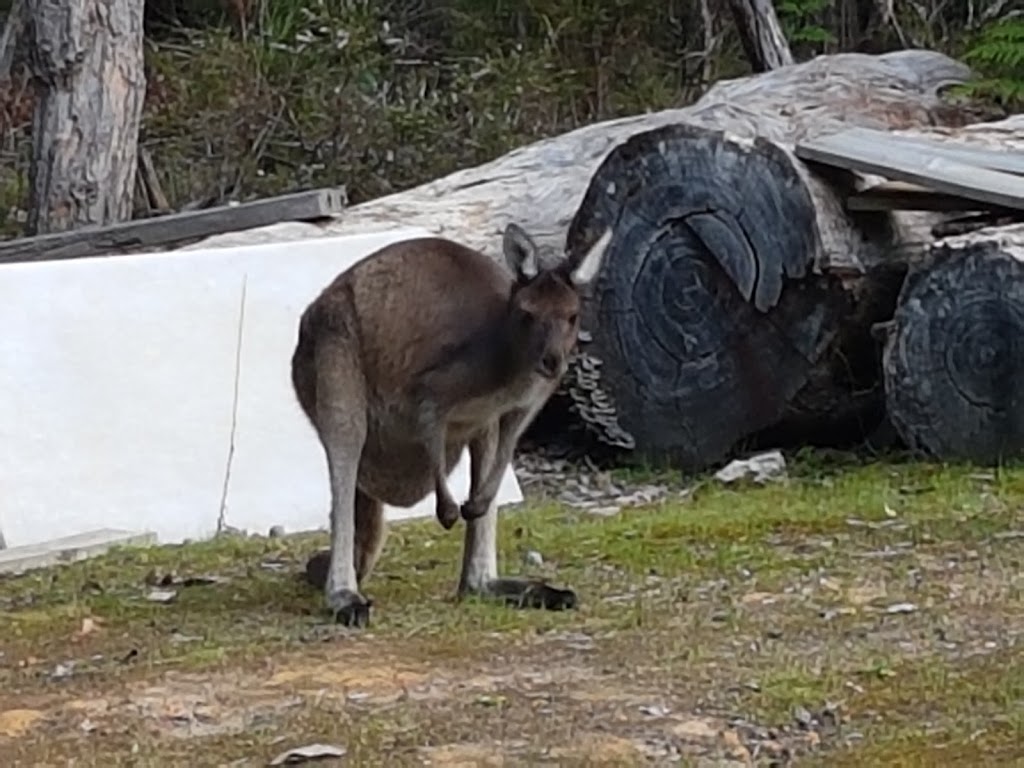 roundtu-it Eco Caravan Park | rv park | 9892 Muirillup Rd, Northcliffe WA 6262, Australia | 0897767276 OR +61 8 9776 7276