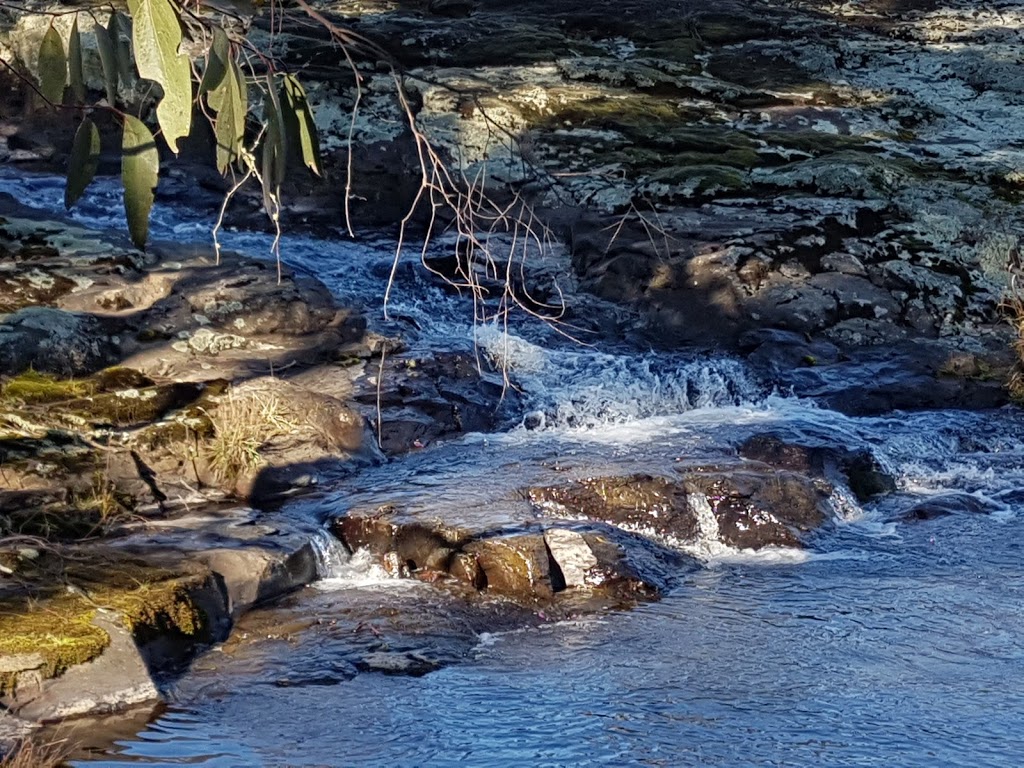 Dutton Trout Hatchery | Point Lookout Rd, Ebor NSW 2453, Australia | Phone: (02) 6775 9139