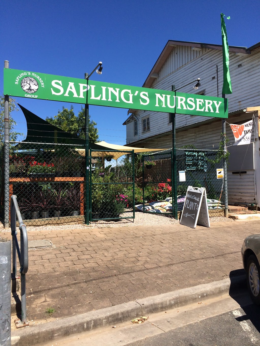 Saplings Nursery | 1132 Grose Vale Rd, Kurrajong NSW 2758, Australia | Phone: 0404 229 191