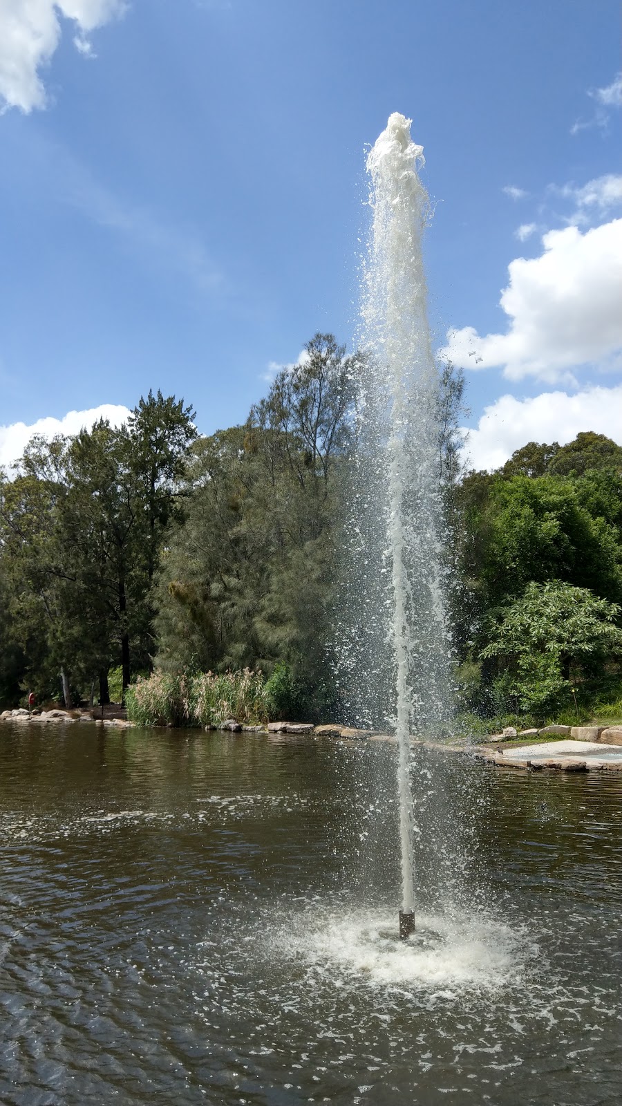 Central Gardens Nature Reserve | park | Cumberland Hwy & Merrylands Road, Merrylands West NSW 2160, Australia | 0298409840 OR +61 2 9840 9840
