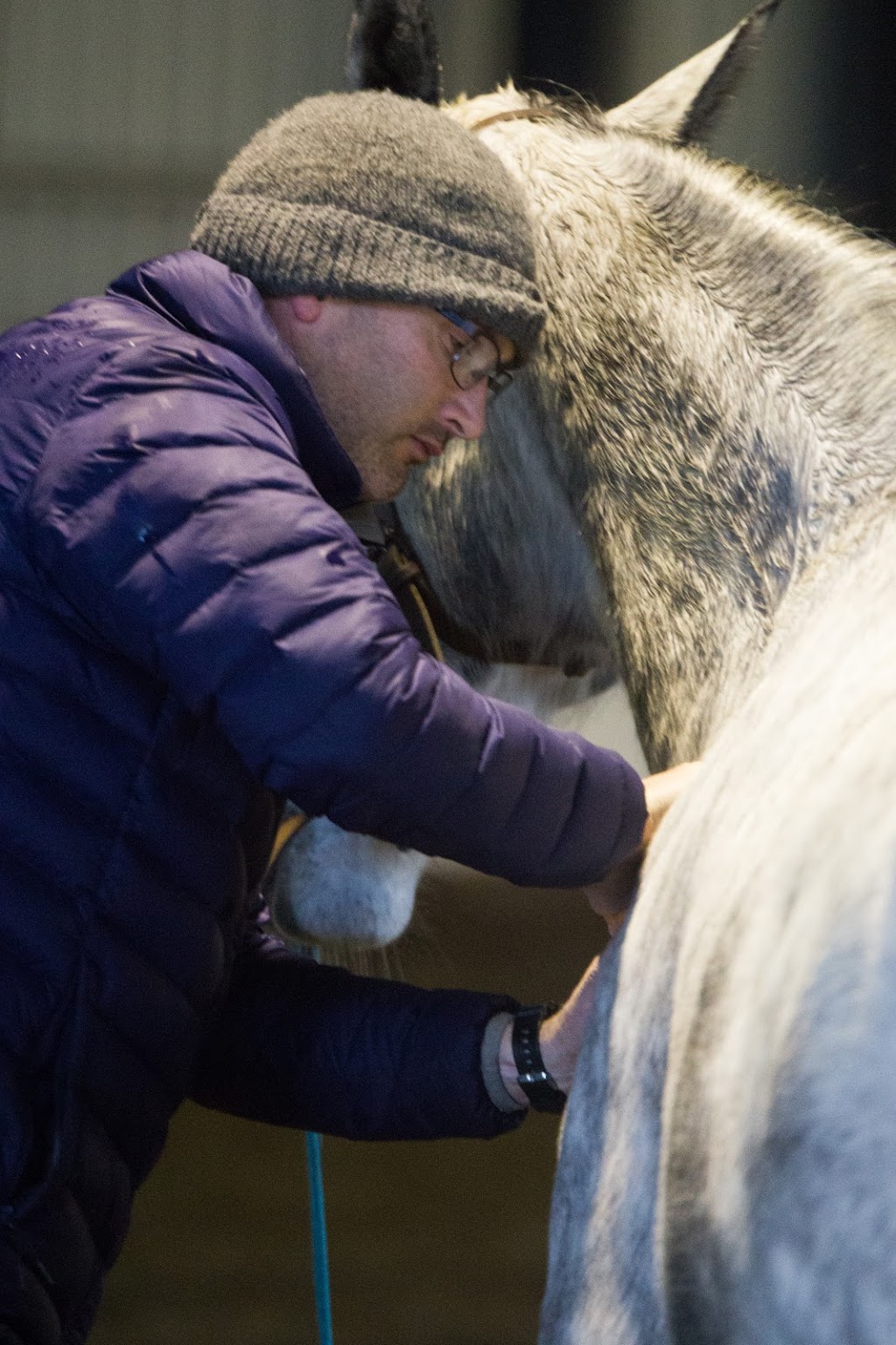 David Mellor Horsemanship |  | 2401 Strathfieldsaye Rd, Eppalock VIC 3551, Australia | 0427393144 OR +61 427 393 144