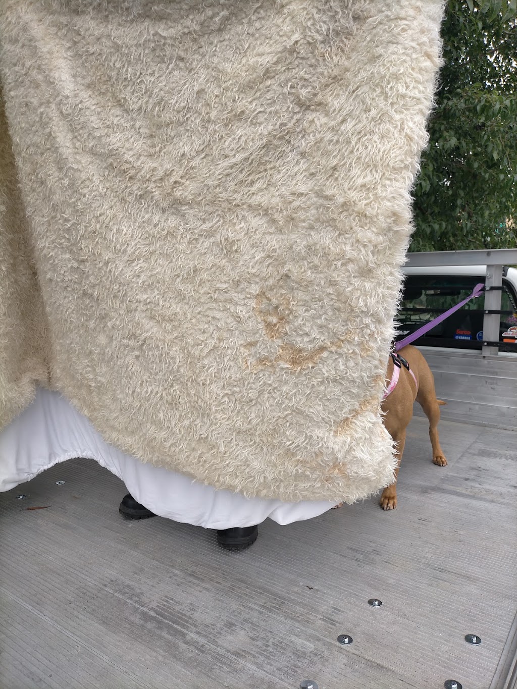 HBE Eco Laundry | Unit 14/17 Pikkat Dr, Braemar NSW 2575, Australia | Phone: (02) 4872 1799