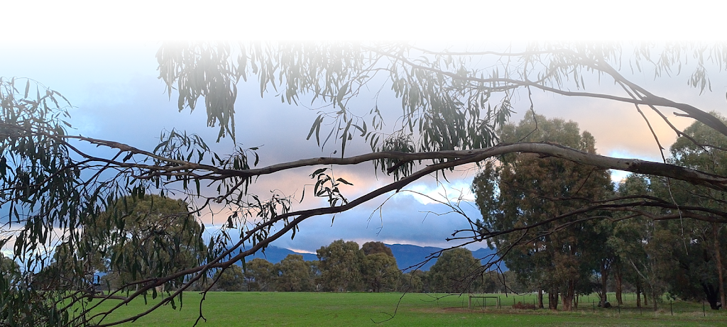 Bellview Connection Equine Assisted Therapy & Counselling | 258 Glue Pot Rd, Pomonal VIC 3381, Australia | Phone: 0429 353 680