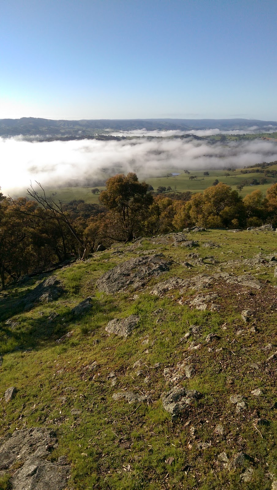 Mount Piper Conservation Reserve | park | LOT 71, LOT 71 Mount Piper Ln, Broadford VIC 3658, Australia