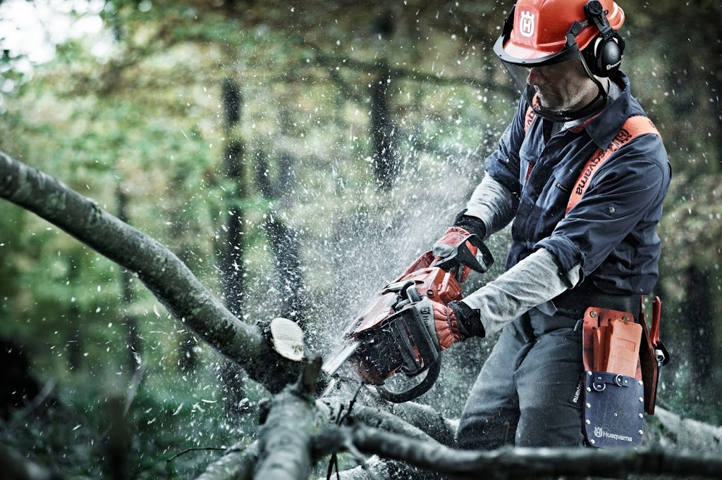 Clayton Mower & Chainsaw Centre | 162 Rosebank Ave, Clayton South VIC 3169, Australia | Phone: (03) 9547 5669