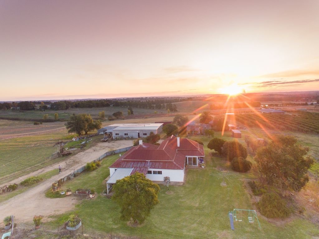 Paul Pace Country (NSW) | Shop 1/2329 Great Western Hwy, Little Hartley NSW 2790, Australia | Phone: 1300 924 860