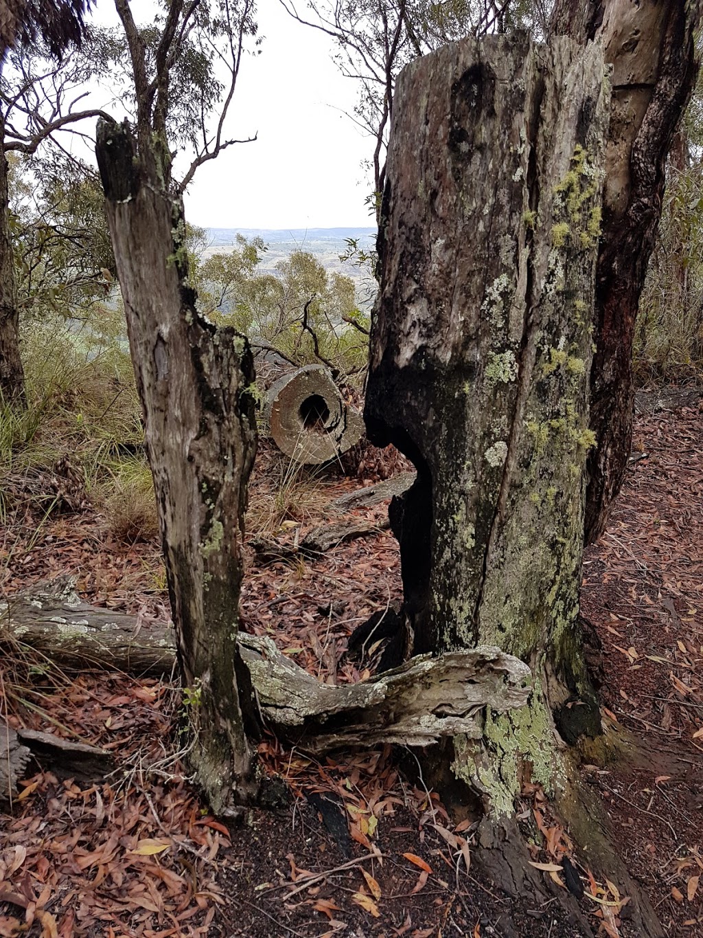 Boat Mountain Conservation Park | park | Tablelands QLD 4605, Australia