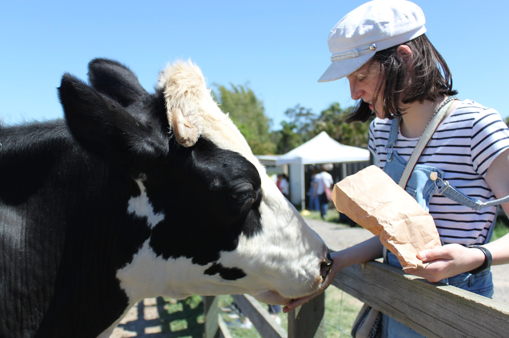 Compassion Connect | 1374 Mount Cotton Rd, Burbank QLD 4156, Australia | Phone: 0438 578 883