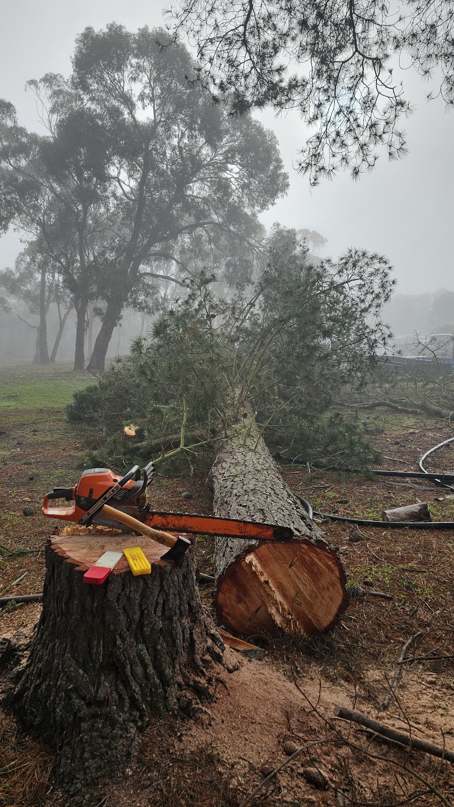 Wells Timber Services | Sailors Gully Rd, Morrisons VIC 3334, Australia | Phone: 0420 762 336