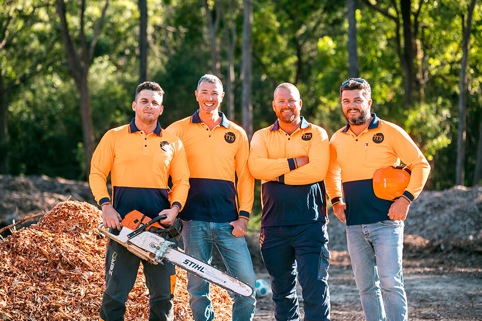 Independent Tree Services | 373 Boundary Rd, Narangba QLD 4504, Australia | Phone: (07) 3888 4202