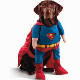 Super Pet Savings | store | 79 Daley Ave, Daleys Point NSW 2257, Australia | 0407253181 OR +61 407 253 181