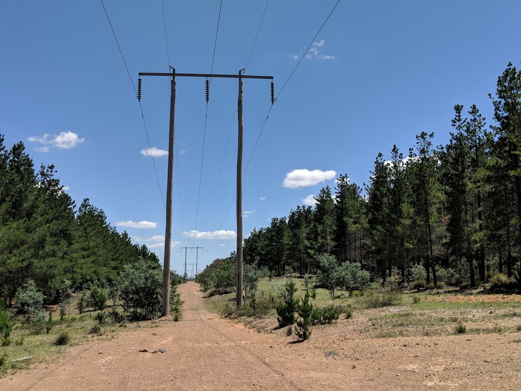 Kowen Pine Forest - Kowen ACT 2620, Australia