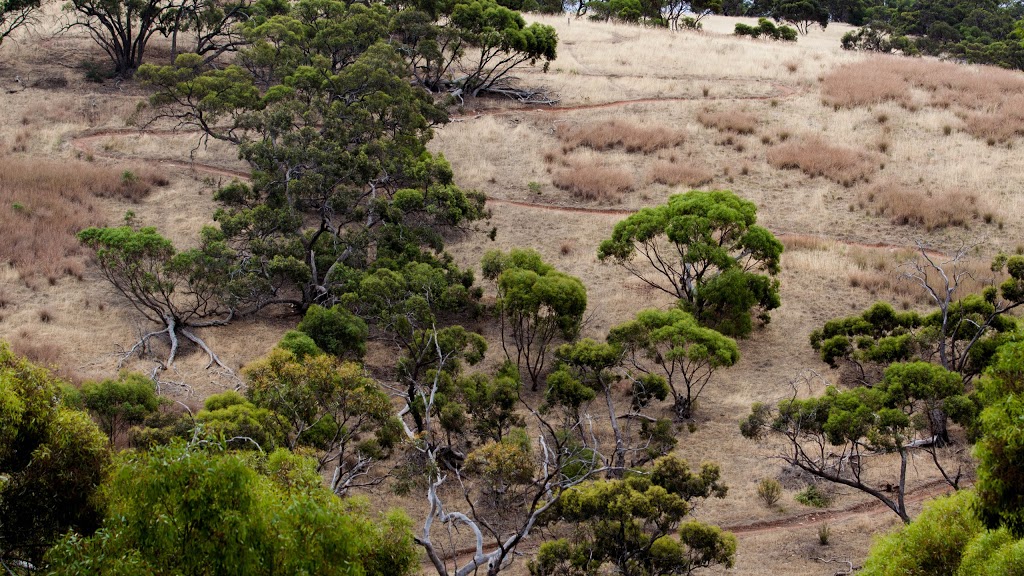 Cobbler Creek West Reserve | Salisbury East SA 5109, Australia | Phone: (08) 8406 8222