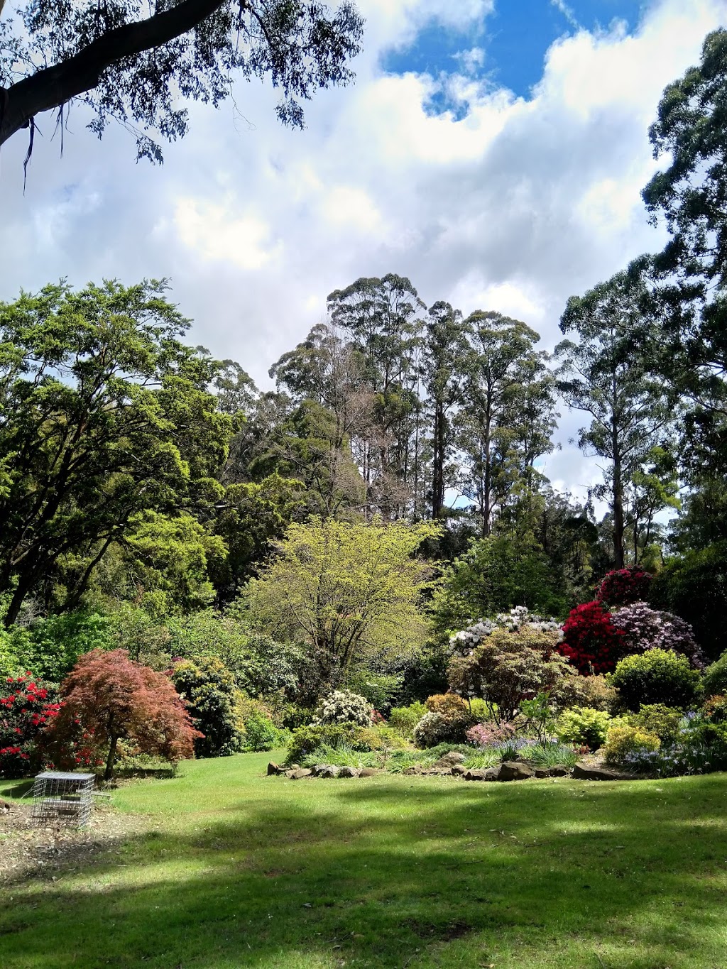 Ferny Creek Ornamental Gardens Reserve | park | Sassafras VIC 3787, Australia