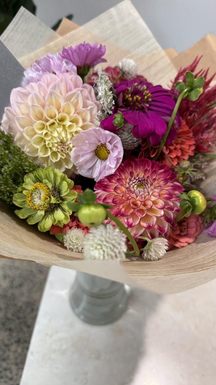 Weeping Willow Farm | Palmdale Rd, Palmdale NSW 2258, Australia | Phone: 0494 382 283