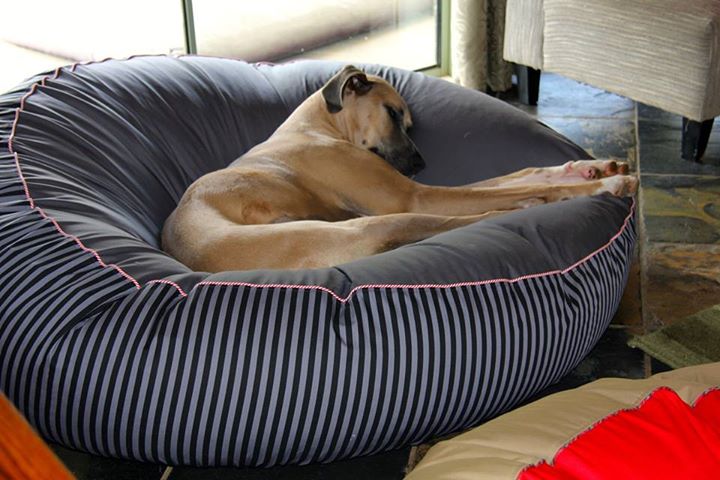 Barka Parka Dog Beds | 1100 Stud Rd, Rowville VIC 3178, Australia | Phone: (03) 9016 3394