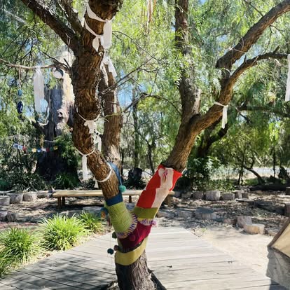 Little Tree Echuca | 322 Bangerang Rd, Echuca Village VIC 3564, Australia | Phone: 0438 084 312