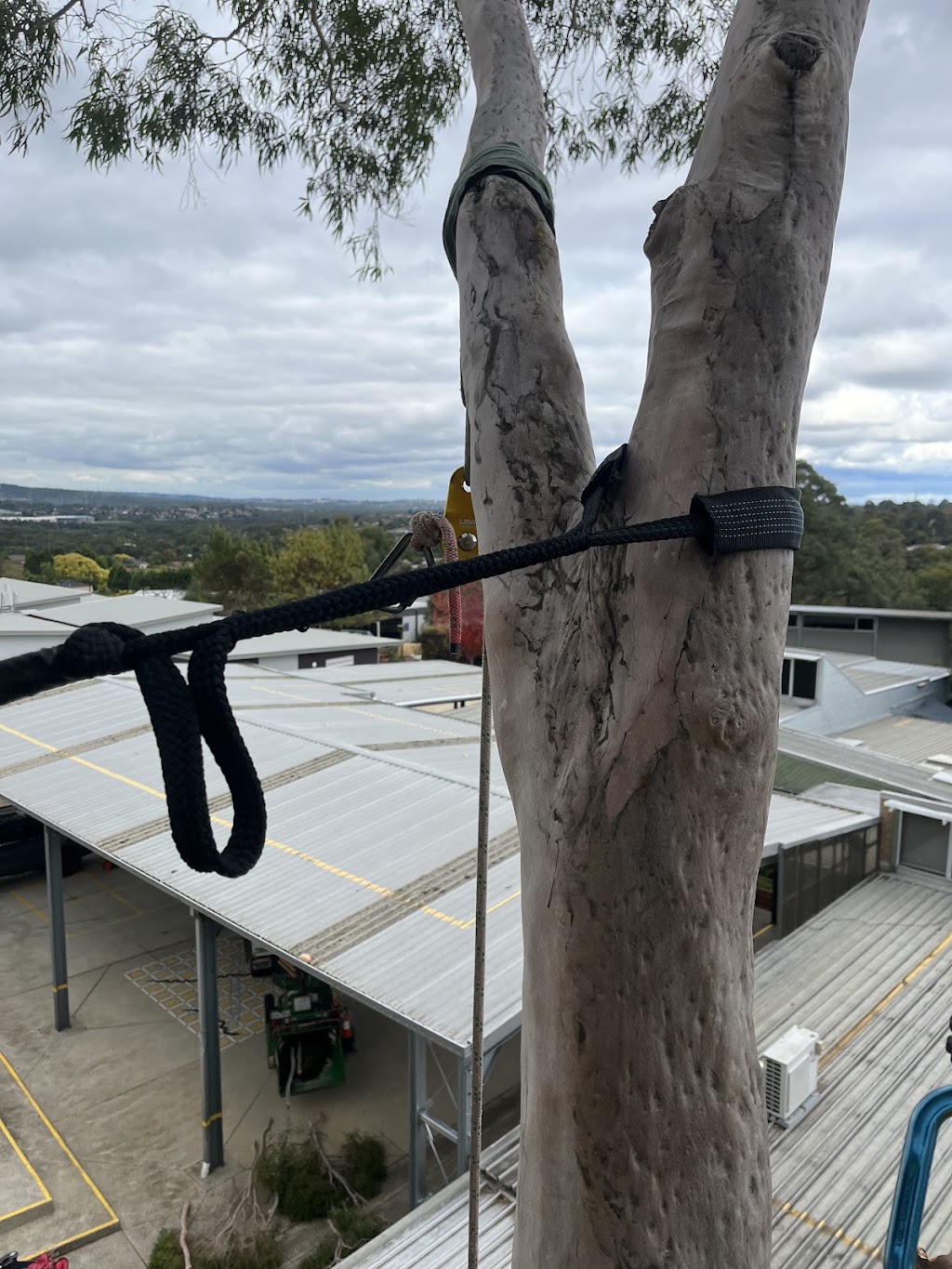 Bunyip Tree Solutions | 23 Doran Rd, Bunyip VIC 3815, Australia | Phone: 0421 286 983