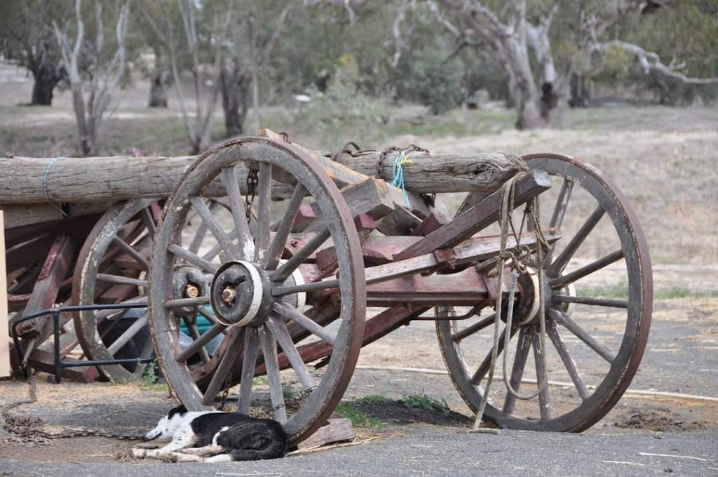 Hoofbeats Carriage Rides | Mudgee NSW 2850, Australia | Phone: 0400 029 758